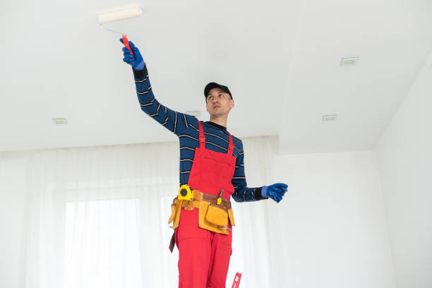 Best New Construction Drywall Services  in USA